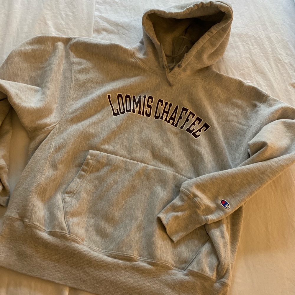 Reverse Weave Hoodie - image 1